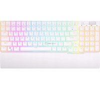 Royal Kludge RK96 - HOTSWAP - WHITE