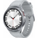 Smartwatch Samsung Galaxy Watch 6 Classic Stainless Steel 47mm Gray  (AKGSA1SMA0171)