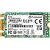 SSD Transcend 425S 1TB M.2 2242 SATA III (TS1TMTS425S)