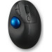 Kensington Trackball ProFit Ergo TB450