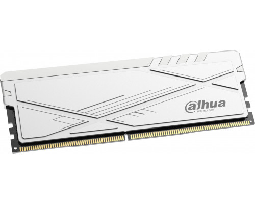 Dahua Technology C600, DDR4, 8 GB, 3200MHz, CL22 (DDR-C600UHW8G32)