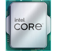 Intel 300, 3.9 GHz, 6 MB, OEM (CM8071505091904)