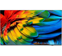 Philips 65HFL6214U/12 LED 65'' 4K Ultra HD Android