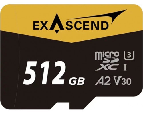 SD  ExAscend Catalyst MicroSDXC 512 GB UHS-I/U3 A2 V30 (EX512GUSDU1-AD)