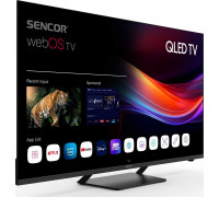 Sencor SLE 50Q870TCSB QLED 50'' 4K Ultra HD WebOS