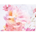 Dior Christian Miss Blooming Bouquet 2023 EDT 150ml