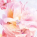 Dior Christian Miss Blooming Bouquet 2023 EDT 150ml