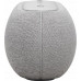 Harman Kardon Harman Kardon Luna Gray