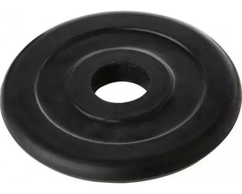 Tremblay Svara disks TREMBLAY D28mm 2kg gumija  