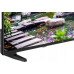 JVC LT40VQF54PA 4K QLED Android televizorius