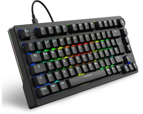 Sharkoon Gaming Tastatur Skiller SGK25 schwarz DE