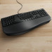 Incase Designed by Microsoft Ergonomic Keyboard klawiatura Biuro USB QWERTY Angielski Czarny