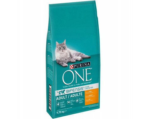 Food sucha dla kota PURINA ONE Adult, chicken ze zbożem 9,75kg