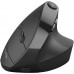 JLab Audio JLab JBUDS Ergonomic, Right-hand, Vertical design, RF Wireless + Bluetooth, 2400 DPI, Black (IEUMJBERGORBLK82)