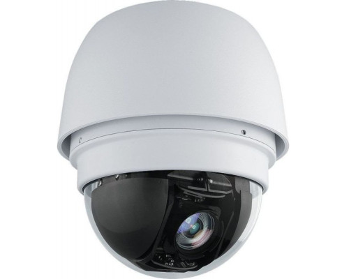 ALLNET ALL2299 kamera przemysłowa Douszne Kamera bezpieczeństwa IP Wewnętrz i na wolnym powietrzu Sufit / Ściana
