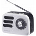 Defender SIGNAL Radio Bluetooth 5W MP3/FM/SD/USB antena