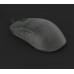 Endgame Gear OP1 8k v2 Gaming-Maus, 8.000Hz - Dark Frost