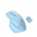 SC150 2in1 Wireless + Wired mini mouse Blue