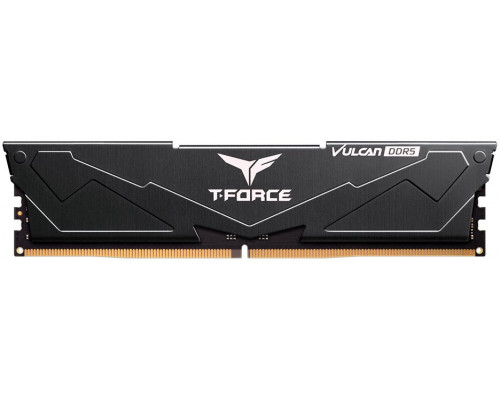 Team Group FLBD516G6000HC38A01, 16 GB, 1 x 16 GB, DDR5, 6000 MHz