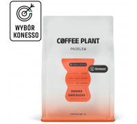 COFFEE PLANT Rwanda Karengera 250g