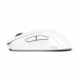 BENQ Zowie Mouse Gaming Gear U2-DW Glossy
