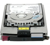 450GB 15K FC EVA Add-on HDD, RP001233385