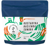 Bracia Ziółkowscy Kostaryka Hacienda Sonora Filter 250g
