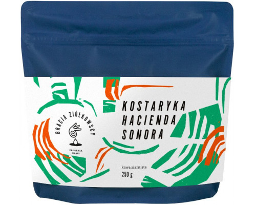 Bracia Ziółkowscy Kostaryka Hacienda Sonora Filter 250g