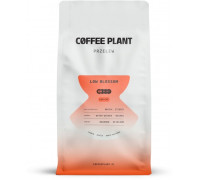 Coffee Plant COFFEE PLANT LOW Blossom 800g