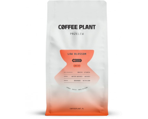 Coffee Plant COFFEE PLANT LOW Blossom 800g