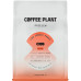 Coffee Plant COFFEE PLANT - kawa ziarnista niskokofeinowa LOW Jungle Fruit Filter 250 g