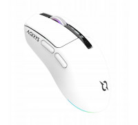 AQIRYS AQIRYS Myszka Dual Mode: Wirelles&BT+Wired M2 white