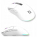 AQIRYS AQIRYS Myszka Dual Mode: Wirelles&BT+Wired M2 white
