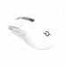 AQIRYS AQIRYS Myszka Dual Mode: Wirelles&BT+Wired M2 white