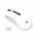 AQIRYS AQIRYS Myszka Dual Mode: Wirelles&BT+Wired M2 white