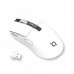 AQIRYS AQIRYS Myszka Dual Mode: Wirelles&BT+Wired M2 white