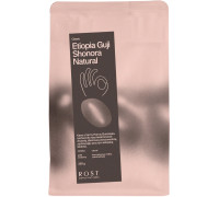ROST ROST kawa ziarnista Etiopia Guji Gemechu Shonora Filter 250 g