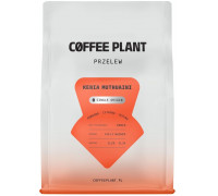 Coffee Plant Kenia Muthuaini 250 g