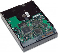 HP 1TB 3.5'' SATA II (3 Gb/s)  (GE262AA)