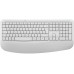 Logitech Signature Comfort Plus Combo MK880 (920-014033)