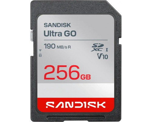 SD  SanDisk Ultra GO SDHC 256 GB Class 10 UHS-I V10 (SDSDUGN-256G-GN6IN)