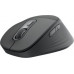 Logitech M850 L for Business (Model)