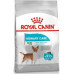 Royal Canin Royal Canin Mini Urinary Care karma dry for dogs adults races small ones do 10 kg z wrażliwym układem moczowym 3kg