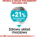 Royal Canin Royal Canin Mini Urinary Care karma dry for dogs adults races small ones do 10 kg z wrażliwym układem moczowym 3kg