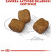 Royal Canin Royal Canin Mini Dental Care karma dry for dogs adults races small ones do 10 kg higiena zębów 3kg