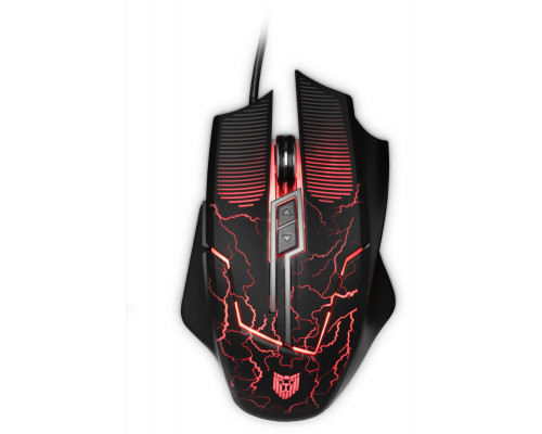 LioCat MX 557 C  (MX 557 C)