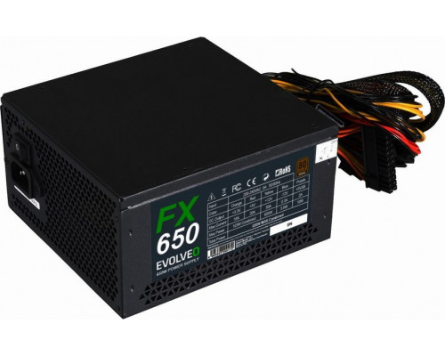 Evolveo FX 650W (FX650)
