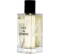 Iceberg EDT 100 ml