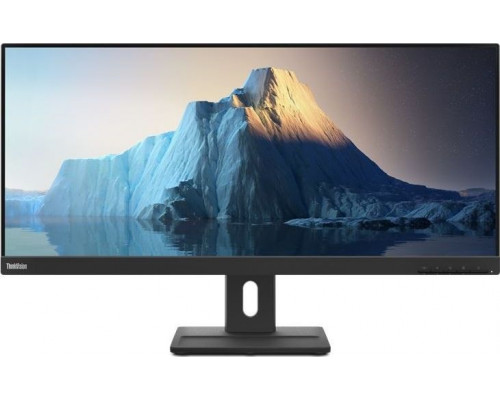 Lenovo ThinkVision E29w-20 (62CEGAT3EU)