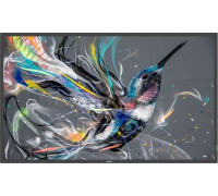 Philips Q-Line 50BDL3550Q/00